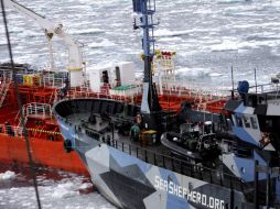 El ''Nisshin Maru'' choca deliberadamente contra el ''Bob Barker''. AFP /