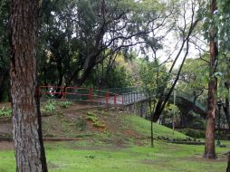 La OMS recomienda entre 12 y 20 metros cuadrados de áreas verdes por habitante. ARCHIVO /