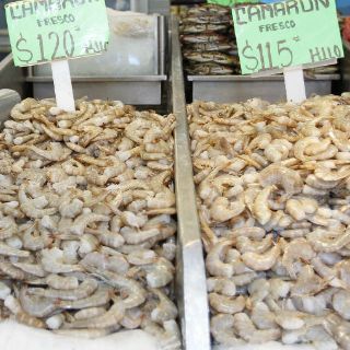 Zapopan ofrece venta de pescados y mariscos a bajo costo