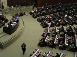 El grupo de trabajo entregará al Pleno de la Cámara de Diputados un informe con recomendaciones. NTX /