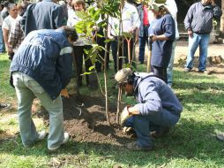 En 2012 Extra A.C. logra reforestaciones en 115 espacios de la Zona Metropolitana de Guadalajara. ARCHIVO /