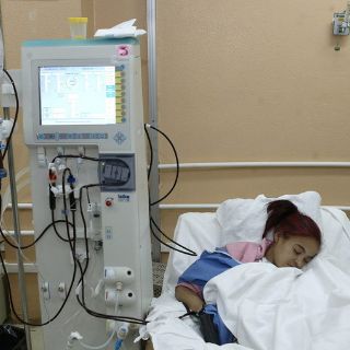 Propondrán que donación de órganos sea automática