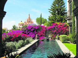 La estancia en la Guanajuato se hace más placentera gracias a la variada oferta culinaria que tiene.  /