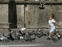 También se les realizaron estudios para saber qué tipo de enfermedades presentaban. ARCHIVO /