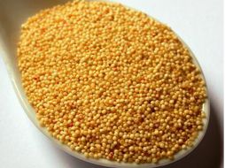 La leche de amaranto no contiene colesterol, ni lactosa, además de una mayor cantidad de proteína que la de vaca. ESPECIAL /