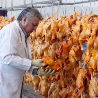 Detectan influenza aviar en 18 unidades de producción