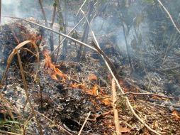 Señalan que son 17 las igniciones que han sofocado. ARCHIVO /