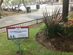 El Ayuntamiento ha comenzado a colocar letreros en áreas verdes para informar de la nueva medida.  /