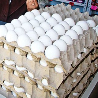 Precio del huevo no debe rebasar los 28 pesos: SE