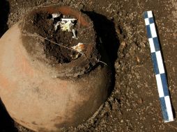 No todos los vestigios están siendo exhibidos por cuestión de espacio. ARCHIVO /