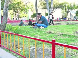 ESPARCIMIENTO. Esta semana, el Ayuntamiento informó que retomaría las sanciones a quienes no respeten los jardines. EL INFORMADOR /