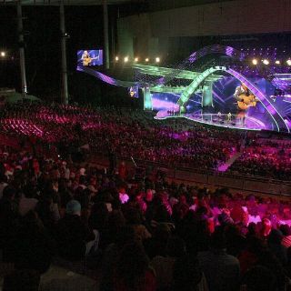 ''31 minutos'', Romeo Santos y Maná, los más rentables de Viña 2013