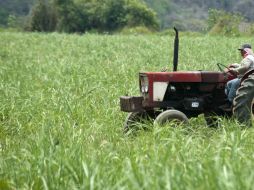 El Petacal es un rancho con 642 hectáreas certificadas como orgánicas por el Oregon Tilth Certified Organic. ARCHIVO /