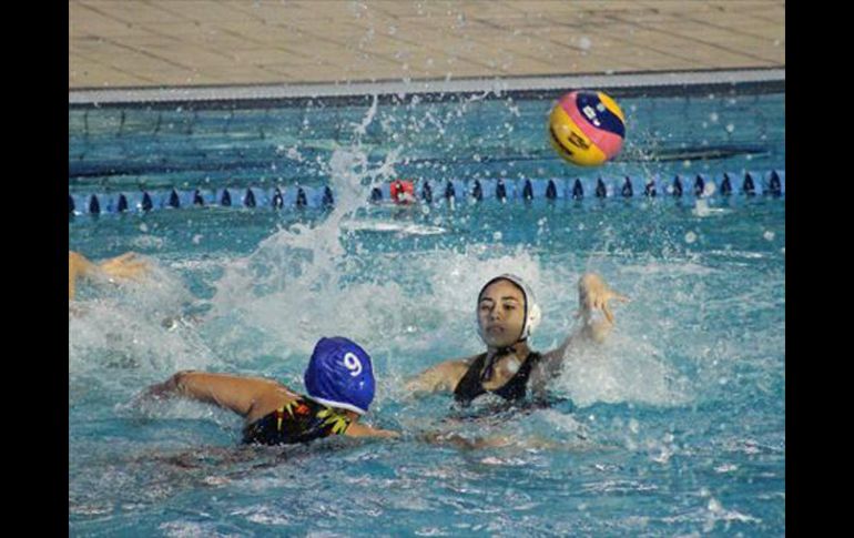 Acción del Regional de Polo Acucatico celebrado en Guadalajara. ESPECIAL /