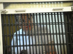 El arresto de Gordillo genera una gran conmoción política en todo México. ARCHIVO /