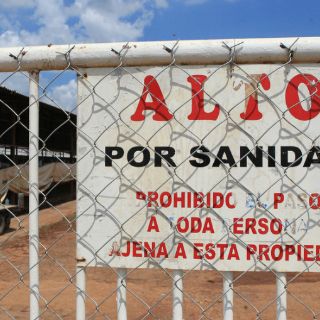 Aplauden vacunación masiva contra gripe aviar