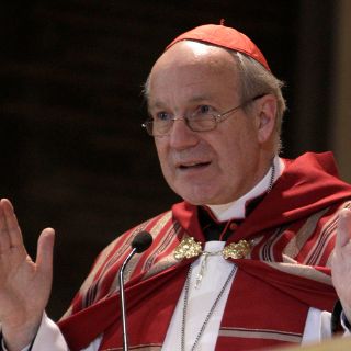 Perfil Christoph Schoenborn