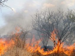 Más de 120 brigadistas capacitados participan en combatir el incendio. ARCHIVO /