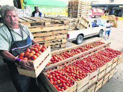 Exportación. La venta de jitomate mexicano en Estados Unidos alcanzó un valor superior a los mil 800 millones de dólares en 2011. EL INFORMADOR /