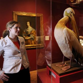 Exposición recorre relación diplomática entre Inglaterra y Rusia