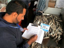 La iniciativa prevé cárcel para los representantes de empresas que intimiden a los clientes. ARCHIVO /