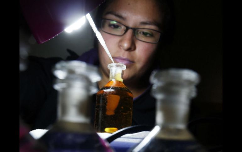 La bióloga Claudia Aracena trabaja en muestras de agua en la bodega del buque Aquiles en la Antártida. EFE /
