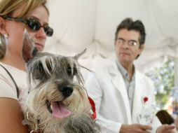 El Centro de Control Animal tapatío informa de la campaña. ARCHIVO /