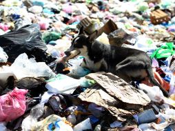 Los autores del informe, señalan, entre otros problemas las incoherencias entre las autoridades nacionales y regionales. ARCHIVO /