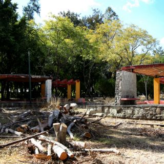 Fideicomiso para la Barranca, un paso del Ayuntamiento: experto