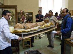 El estudio reveló que las momias de mayor edad presentan más signos de la enfermedad AP /