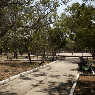 Proponen predios municipales para áreas verdes