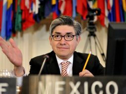 El embajador de México ante la OEA, Joel Hernández, lanza el exhorto contra la pena capital. ARCHIVO /