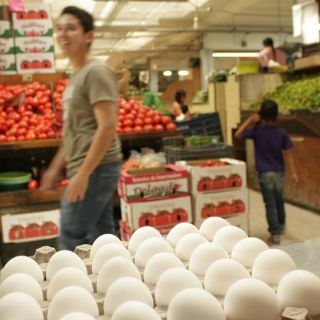 En dos meses estará normalizada la producción de huevo