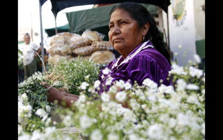 El Conapred reconoce que falta mucho para la inclusión y respeto a los derechos humanos migrantes, indígenas y afrodescendientes. ARCHIVO /