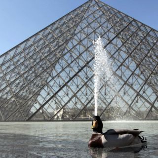 El Louvre compra un Picasso inédito para exponerlo en Abu Dabi