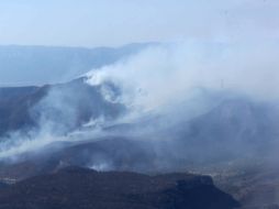 El 97 por ciento de los incendios se generan por causas humanas. ARCHIVO /