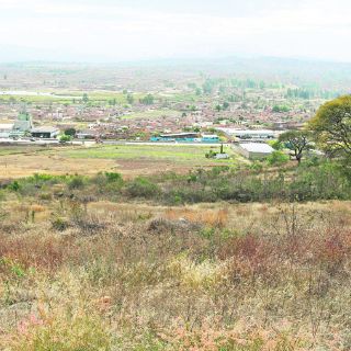 La UdeG va por dos centros universitarios: Bravo Padilla