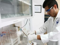 La aguja del nuevo dosificador es igual de delgada que el diámetro de un cabello, buscando una mayor adherencia. ARCHIVO /