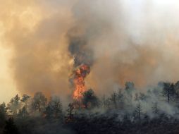 Un incendio fuera de control ha consumido por lo menos 400 hectáreas de bosque en Colorado. AP /