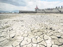 huellas visibles. En la zona del malecón de Chapala se observa la tierra agrietada por la falta de agua. EL INFORMADOR /