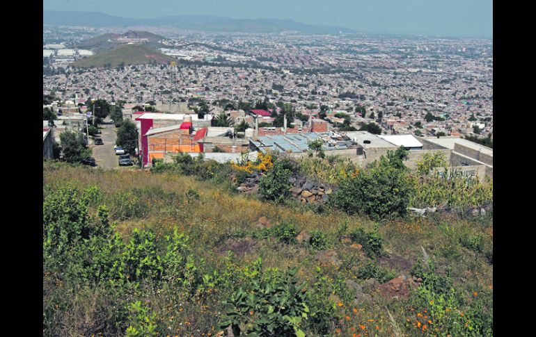 En las faldas del volcán apagado. Mil 300 es el total de viviendas asentadas de forma regular en el Cerro del Cuatro. EL INFORMADOR /