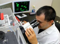 Identifican nuevos tipos de tumor, asociados con mutaciones del promotor TERT. ARCHIVO /