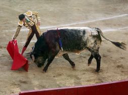 Consideran que si los pequeños asisten a corridas de toros pierden sensibilidad y empatía hacia otros seres. ARCHIVO /
