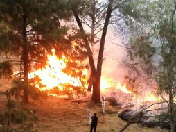 El segundo incendio ocurrió en un parque en la colonia Jardines Universidad, en Zapopan. ESPECIAL @ChioItuarte  /