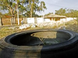 Entre los trabajos que realizarán están los programas de de descacharrización y  colocación de ovitrampas. ARCHIVO /