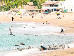 Puerto Vallarta. En este destino turístico ya está en marcha el operativo de vigilancia vacacional 2013. EL INFORMADOR /