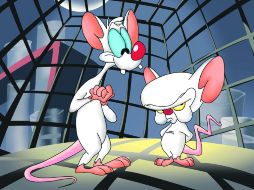 Pinky y Cerebro tienen la misión de conquistar el mundo y en el mundo real se sospecha de personas que desean lo mismo ESPECIAL /