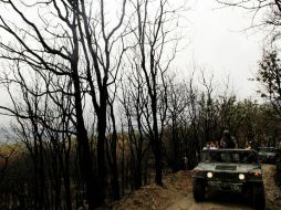 Participan 500 elementos en las labores de protección del área natural. ARCHIVO /