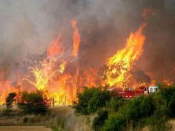 Hasta el momento participan 965 brigadistas para combatir los incendios. ARCHIVO /