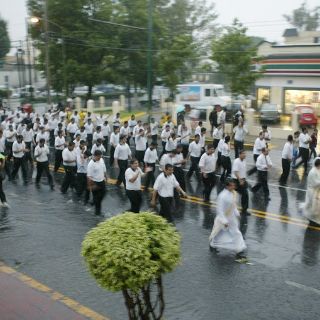 Fundéu BBVA: ''procesionar'' es un verbo adecuado en español